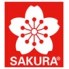 Sakura (3)
